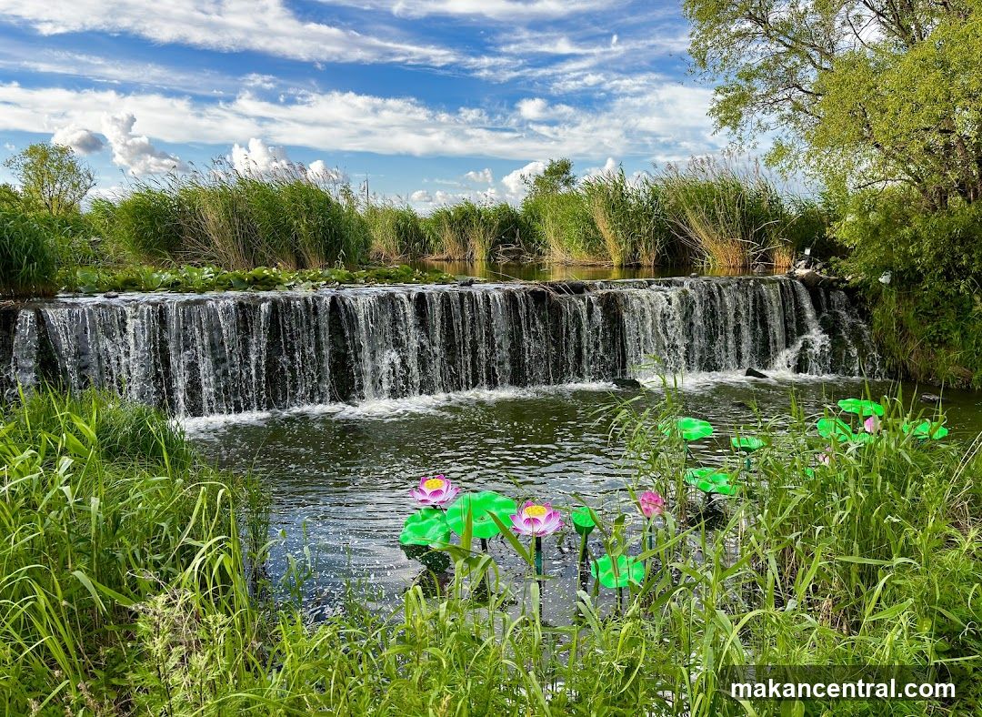 Natural Waterfall and Lotus Pond