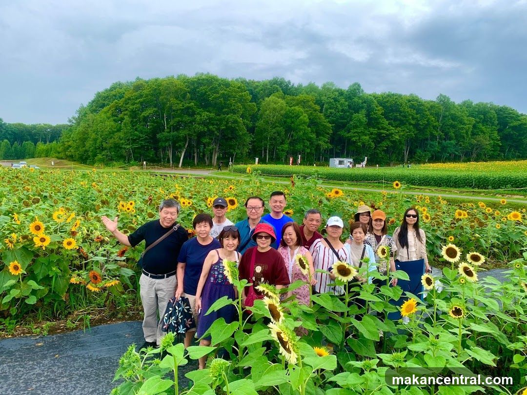 Group photo in sunflower field