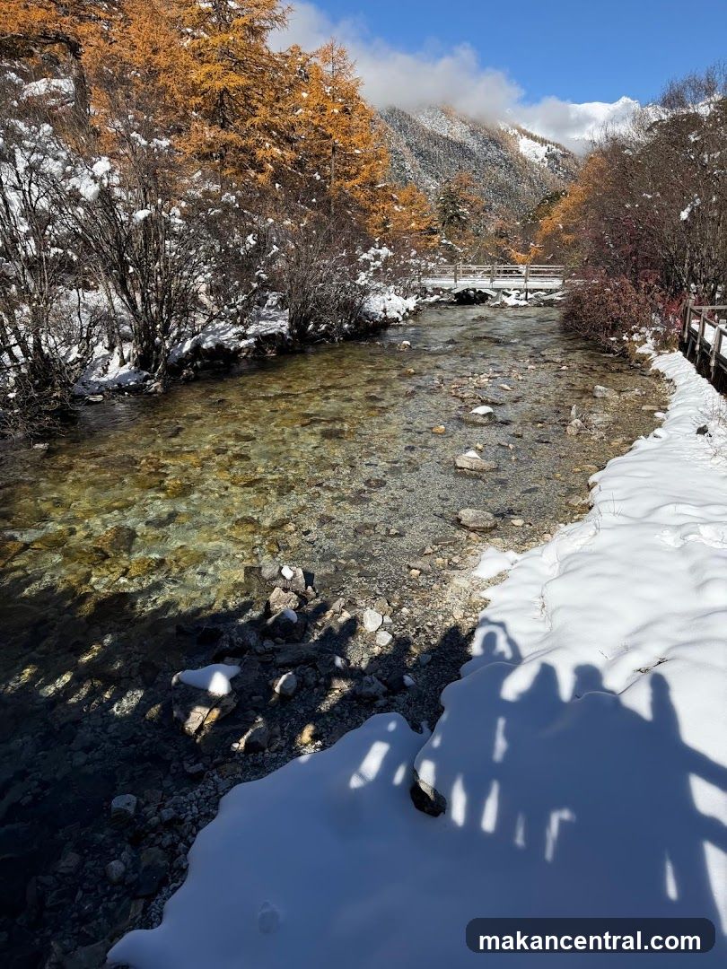Snowy Mountain Stream Scene