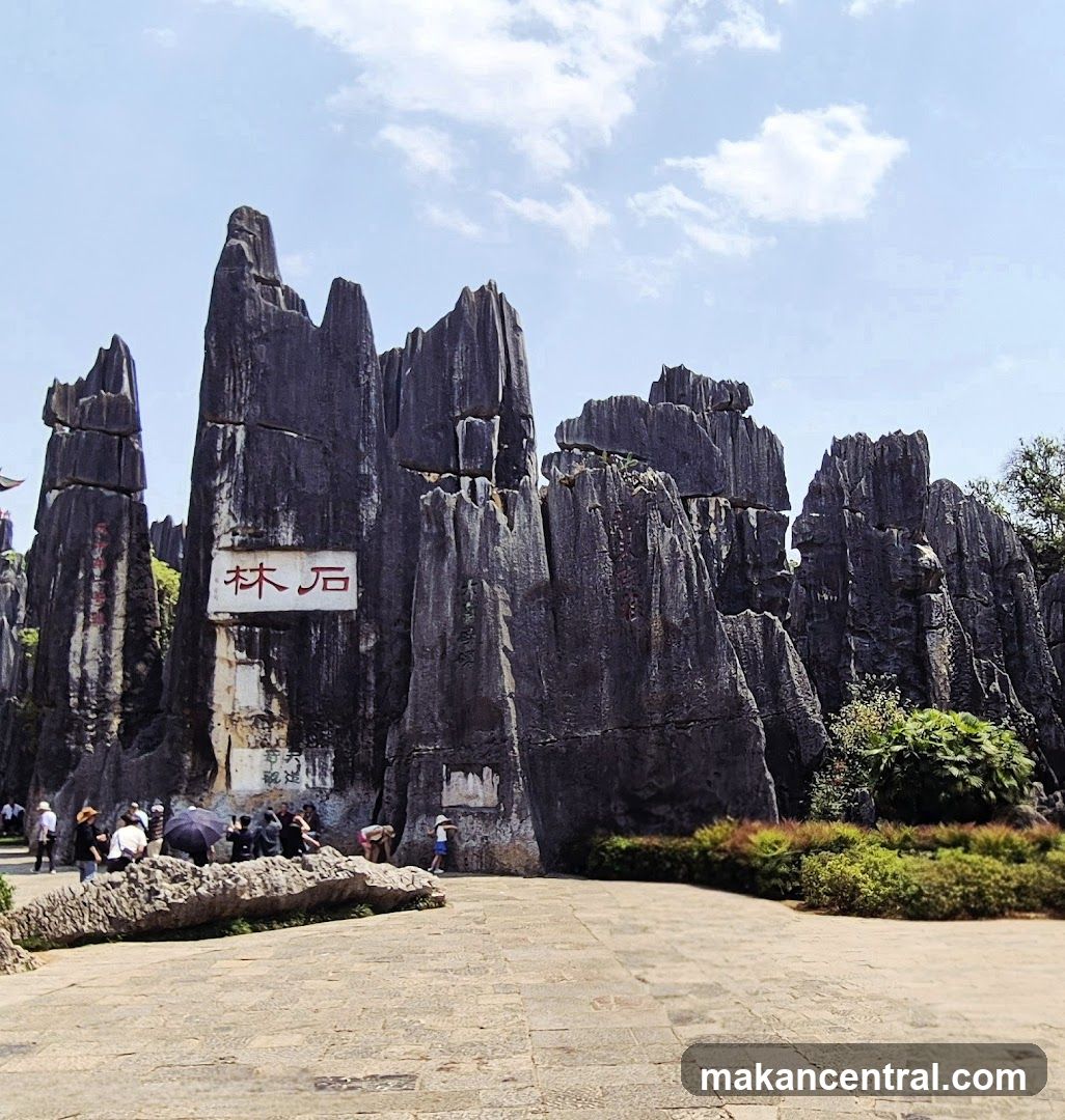 Stone Forest Entrance