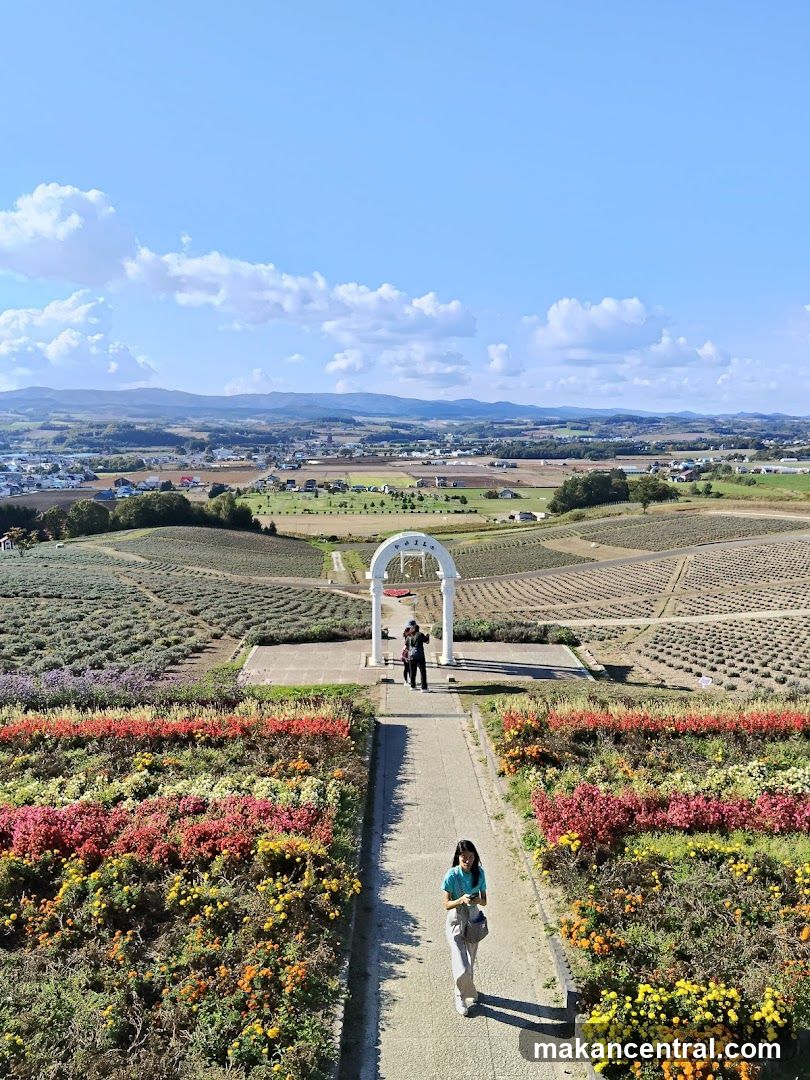 Flower Field View