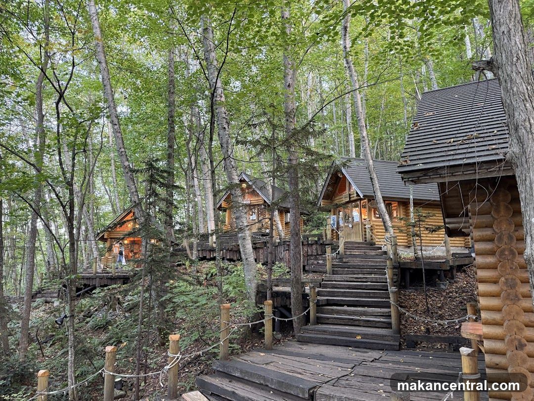 Forest Log Cabin Resort Entrance
