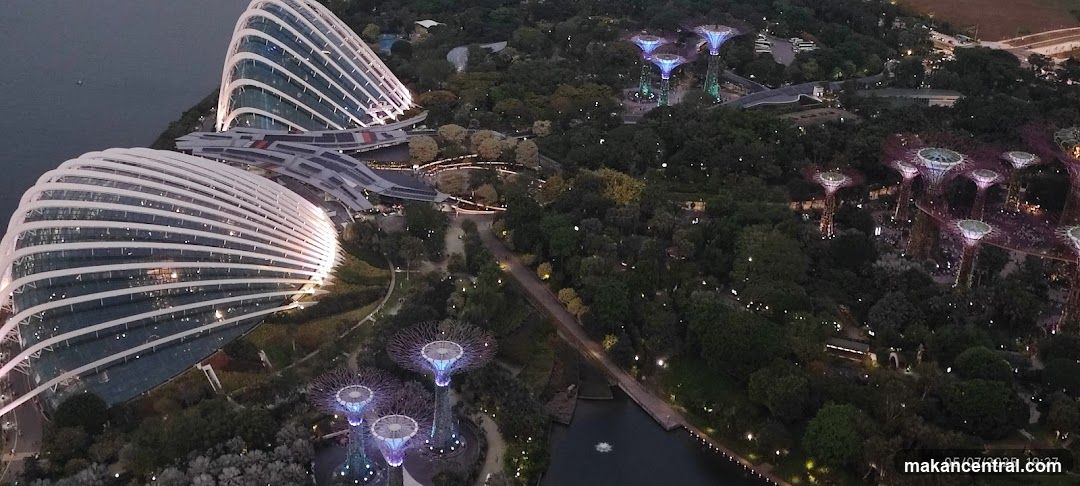 Singapore Gardens by the Bay at Night