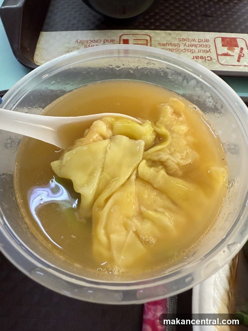 Wonton Soup in Plastic Bowl