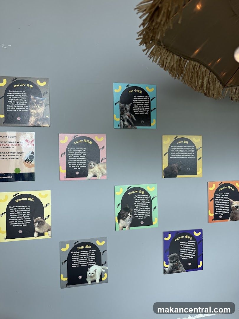 Cat Profiles
