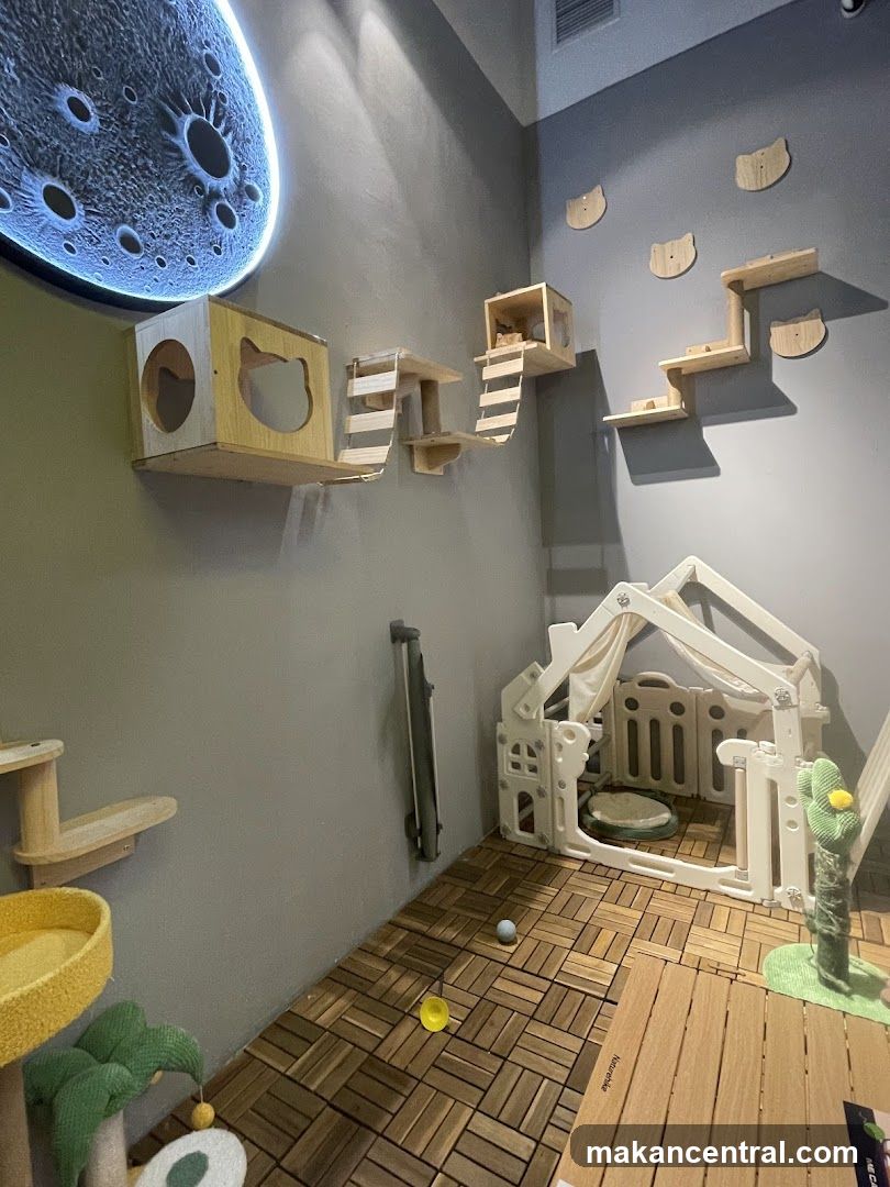 Cat Cafe Interior