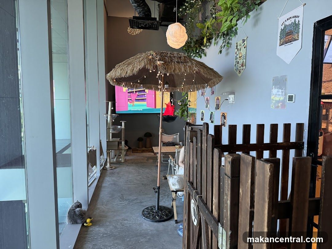 Cozy Cafe Interior with Cat Amenities