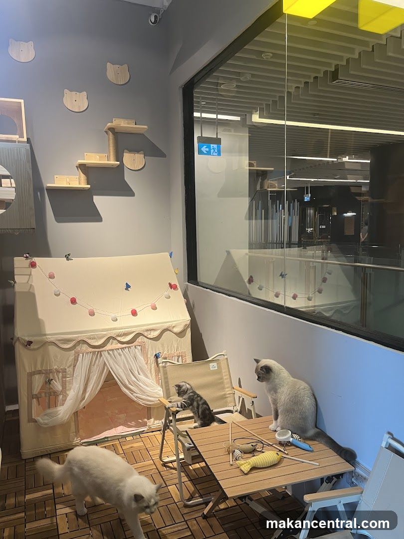Cat Cafe Interior