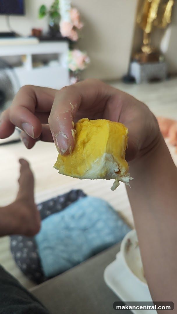 Person holding durian