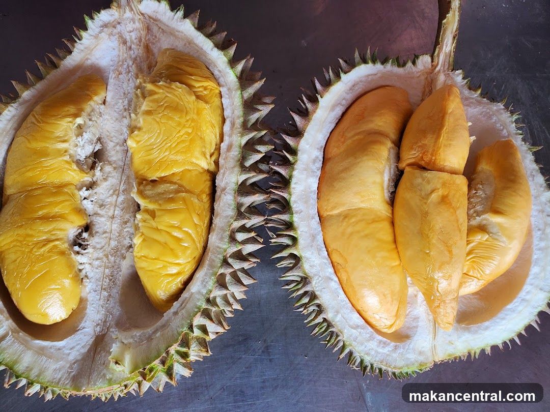 Durian Fruit