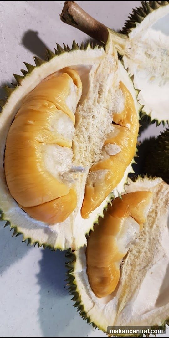 Durian Fruit