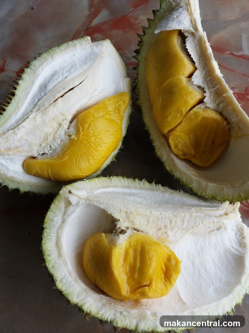 Durian Fruit