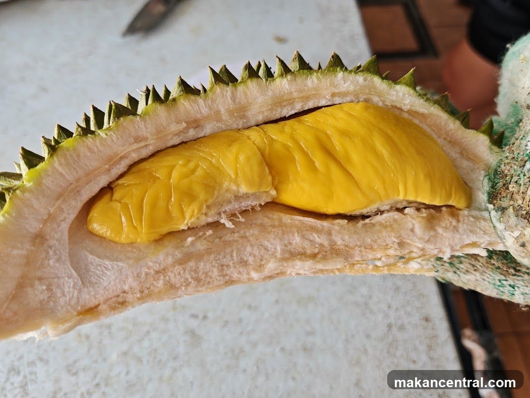 Durian Fruit
