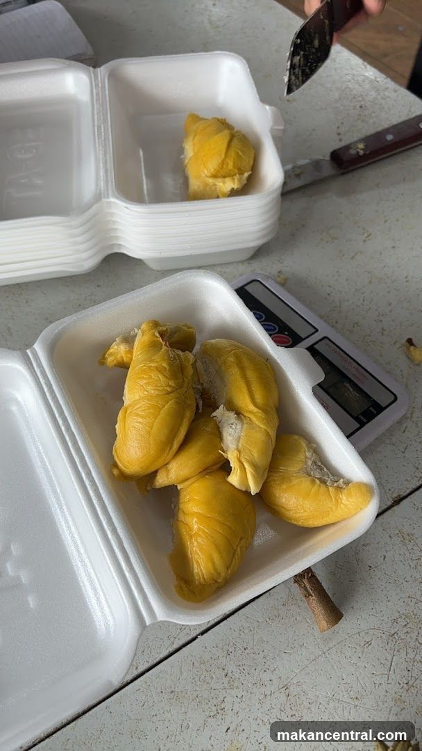 Durian Fruit Segments
