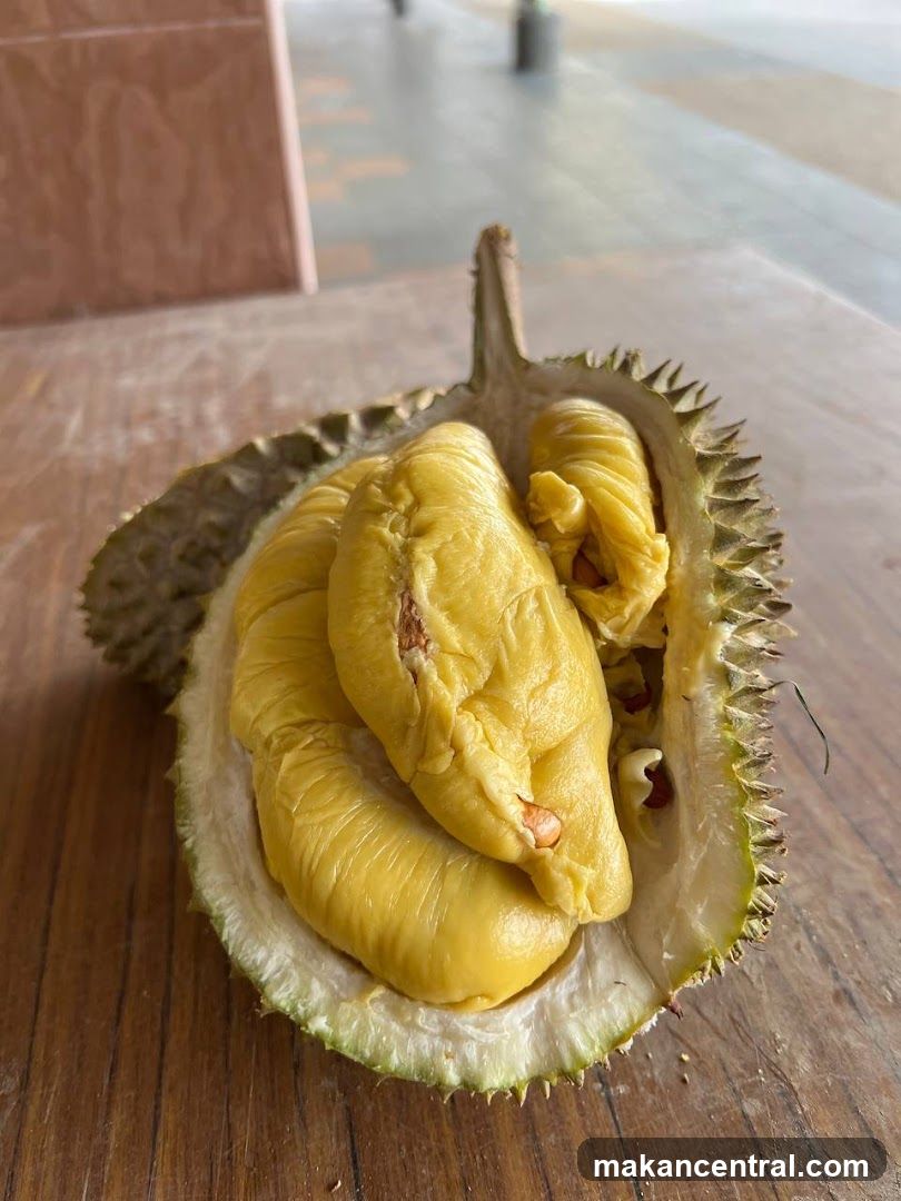 Durian Fruit