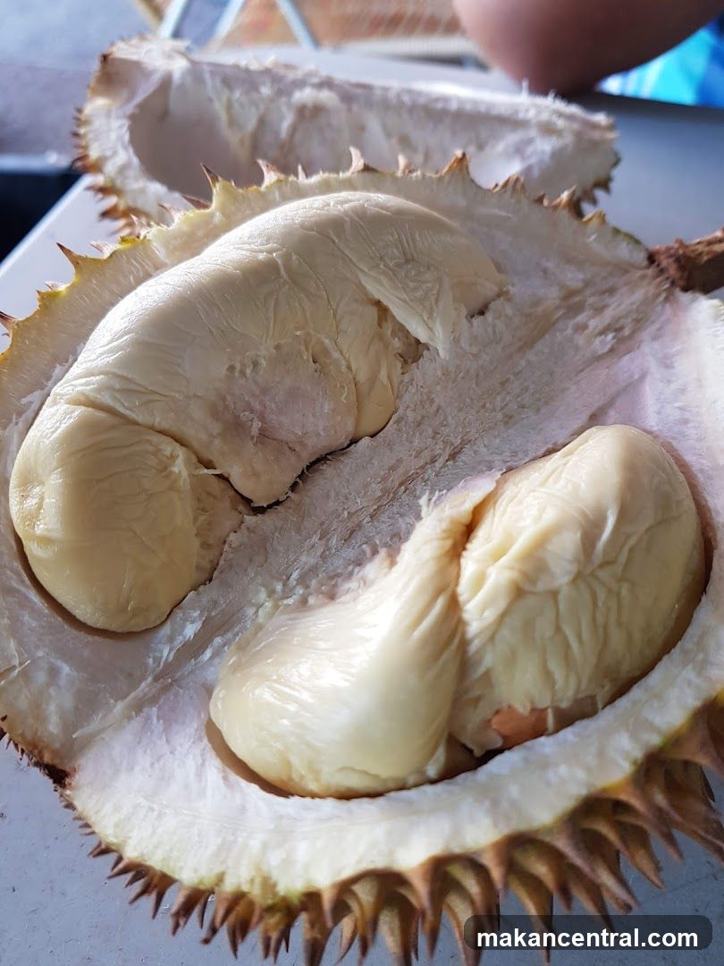 Durian Fruit