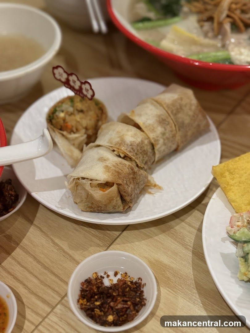 Spring Rolls and Salad