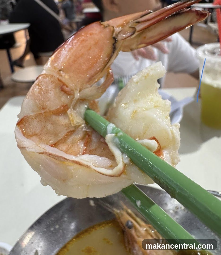 Close-up of a large cooked prawn being held by chopsticks