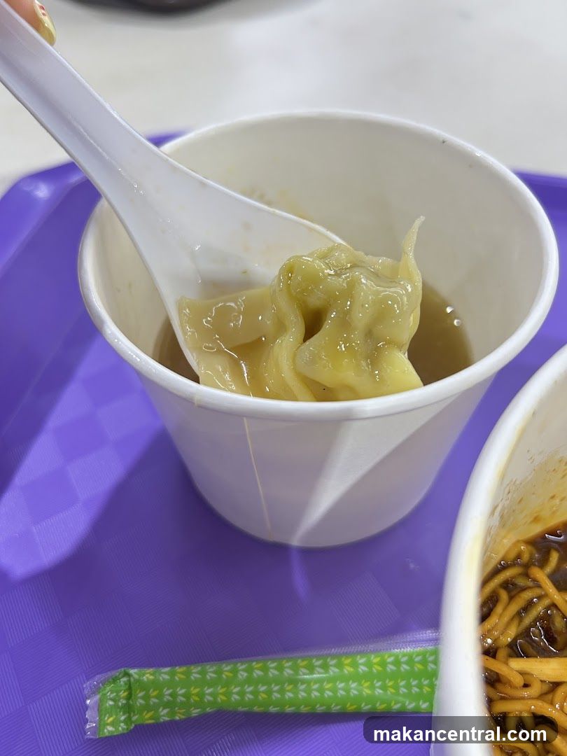 Wonton Soup and Noodles