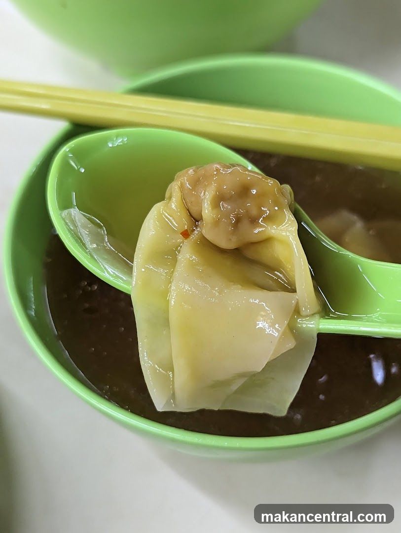 Wonton Soup