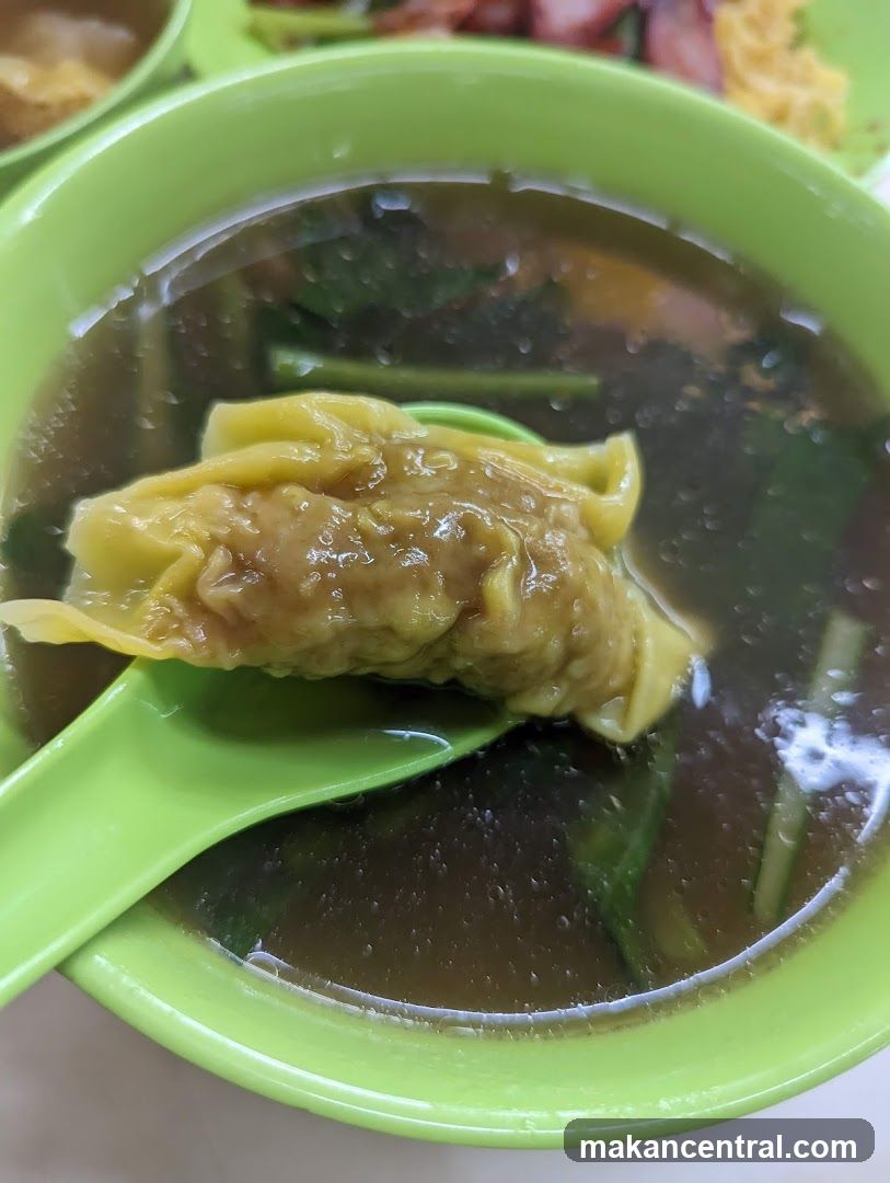 Wonton Soup