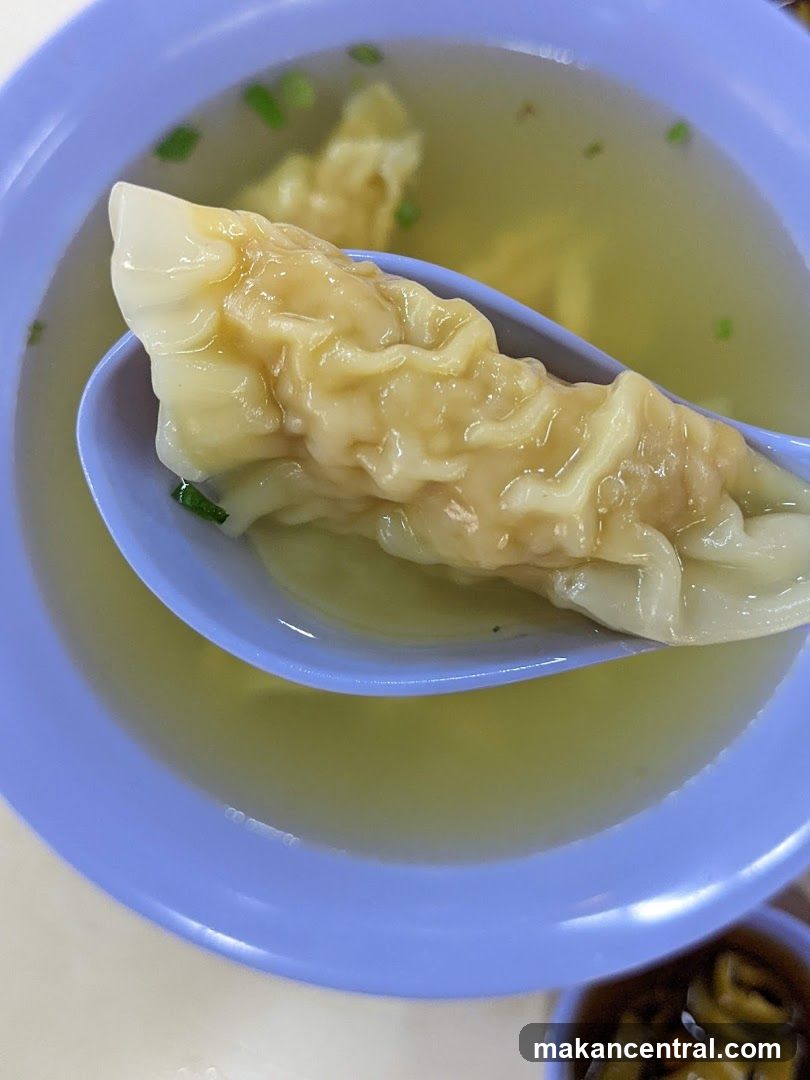 Wonton Soup