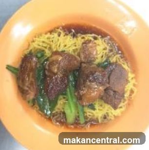 Braised Pork Noodles