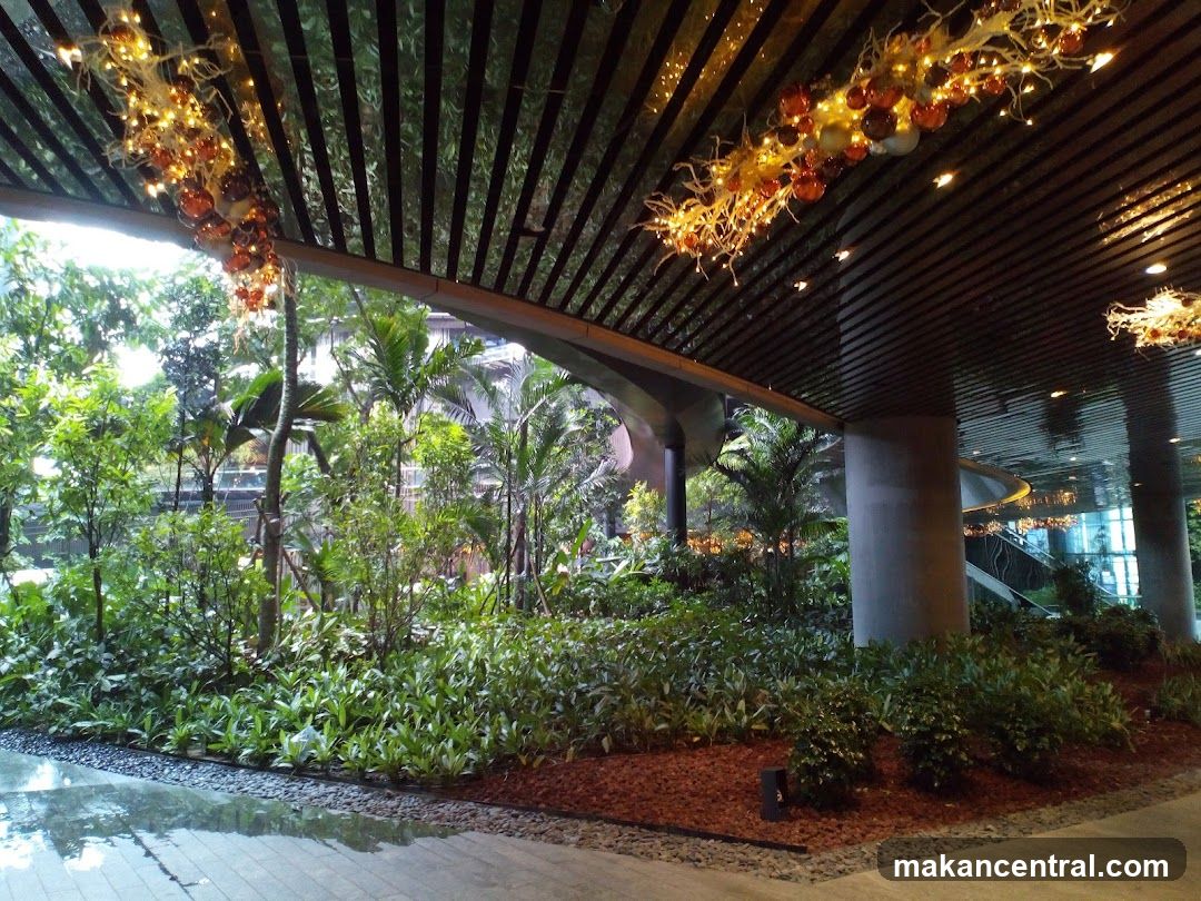 Indoor Garden with Festive Lights