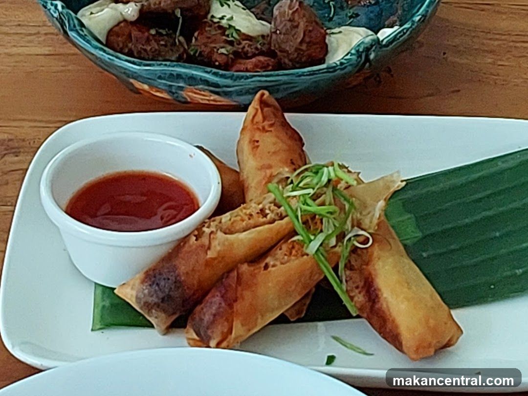 Spring Rolls with Dipping Sauce