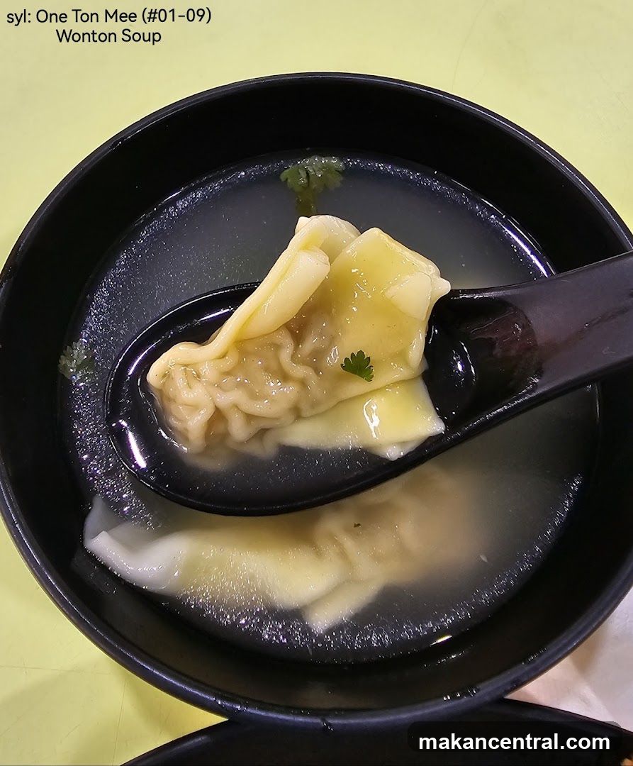 Wonton Soup