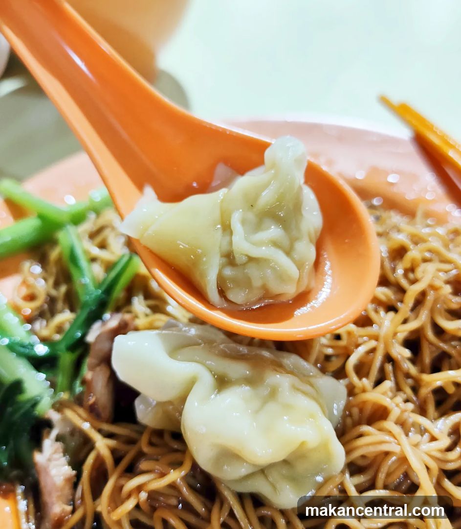 Wonton Noodles
