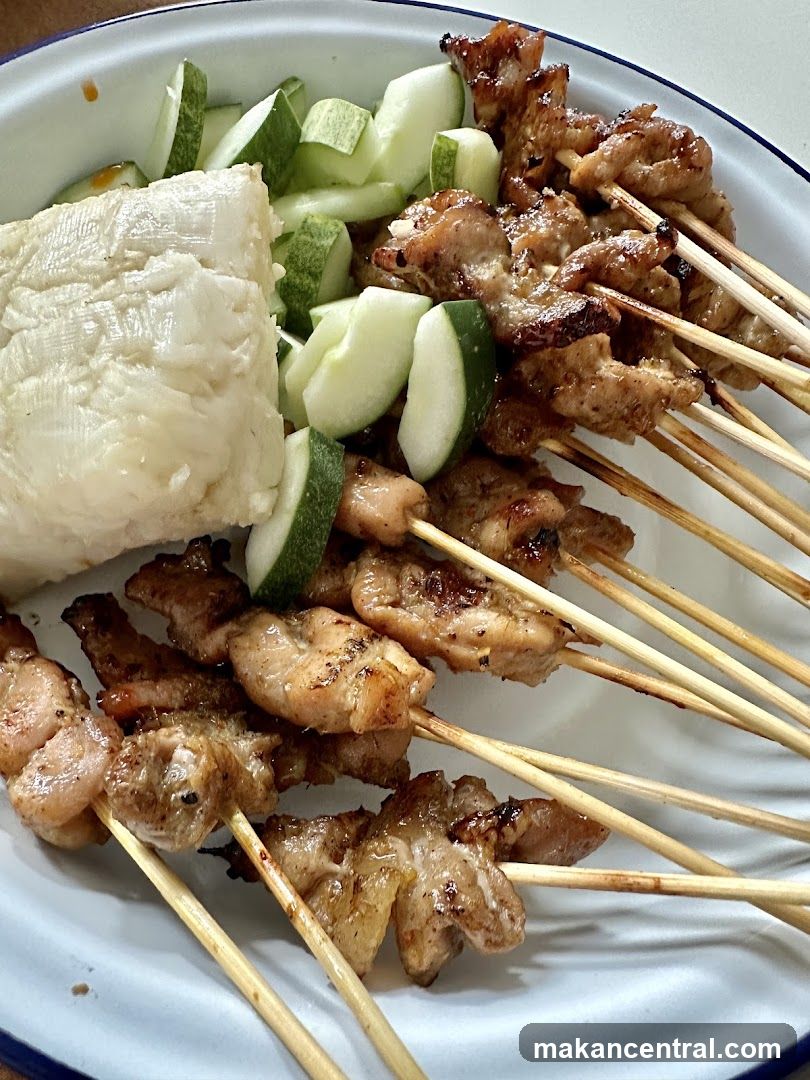 Chicken Satay with Rice and Cucumber