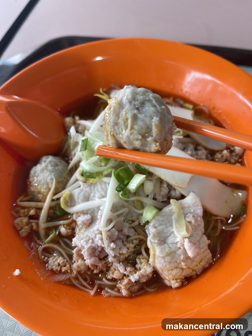 Pork Noodles
