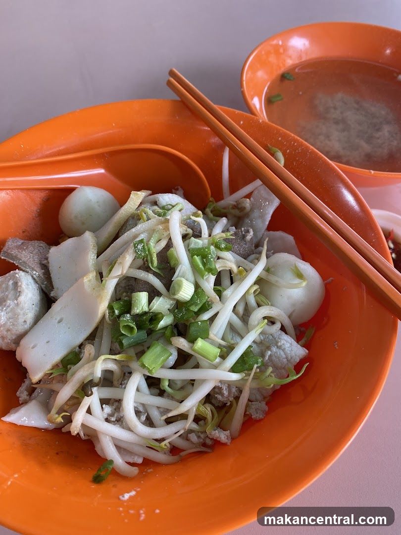 Noodle Soup with Meatballs and Bean Sprouts