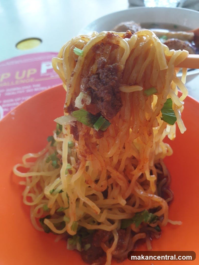 Noodles with Toppings
