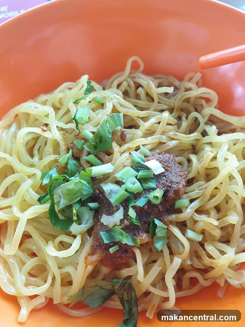Noodles with Toppings