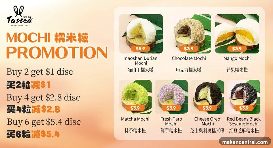 Mochi Promotion