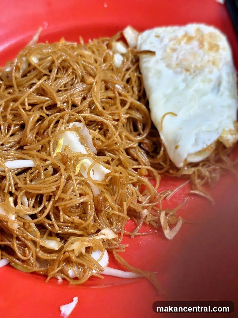 Fried Noodles with Egg