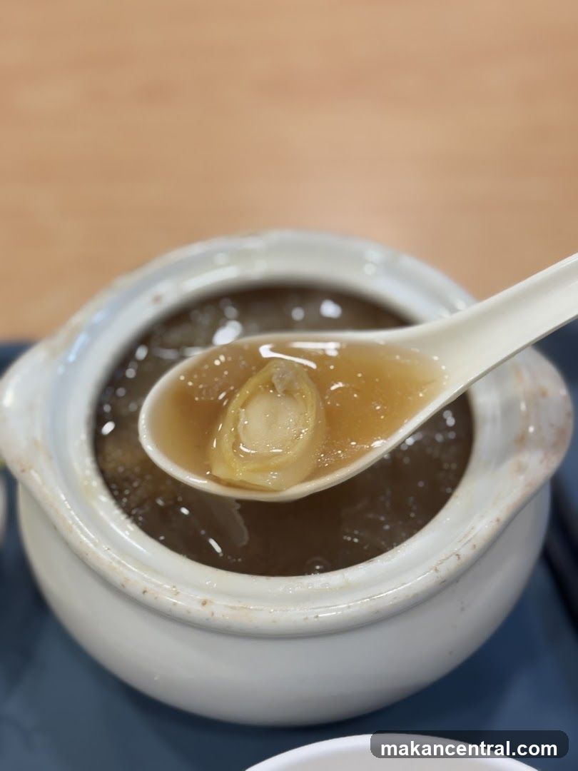 Shark Fin Soup
