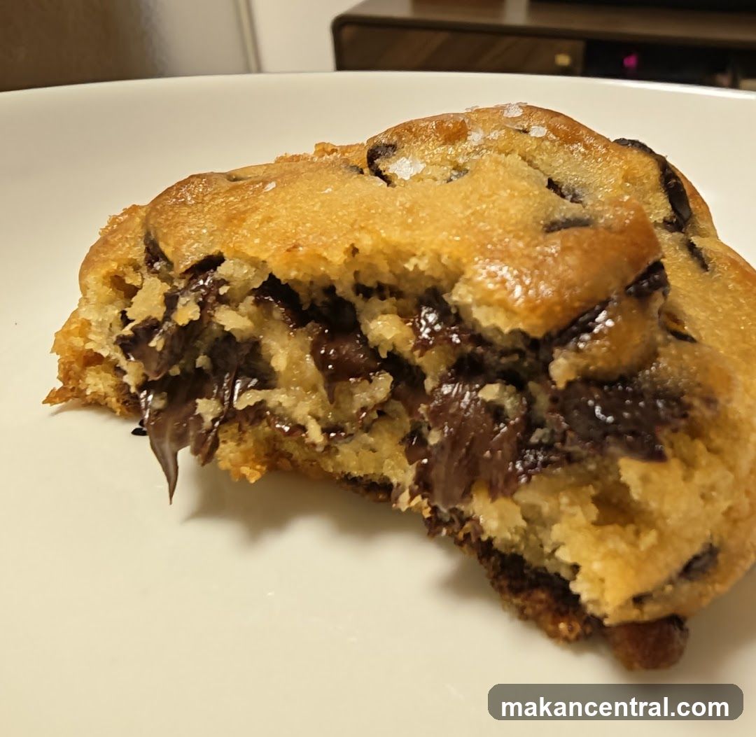 Chocolate Chip Cookie