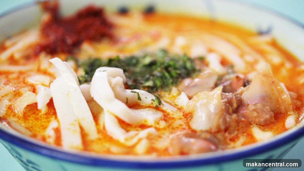 Laksa Noodle Soup