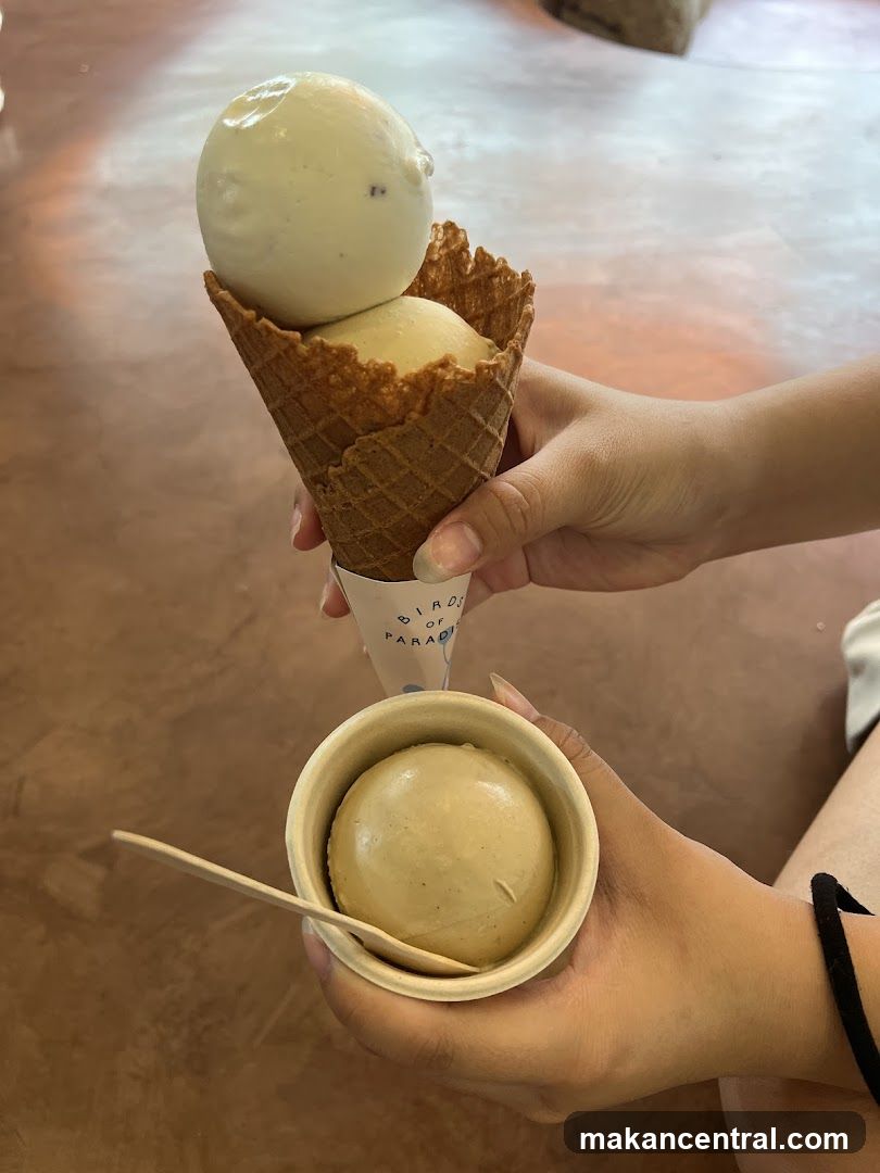 Ice Cream Cones and Cup