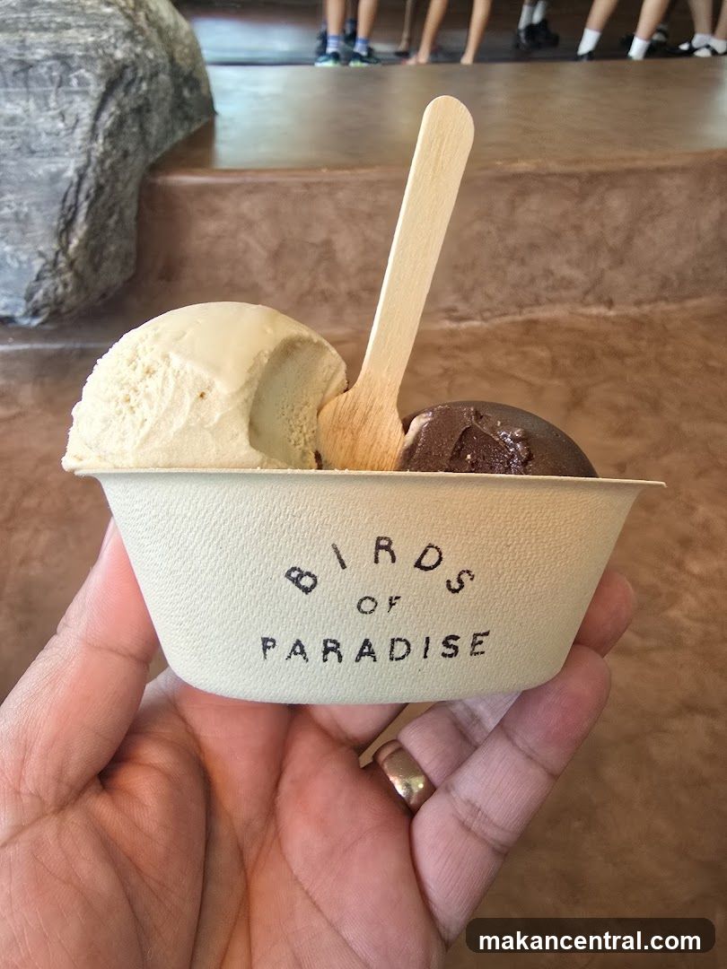 Ice Cream Cup