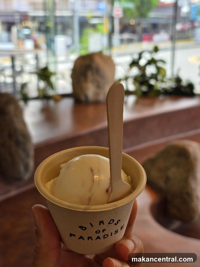 Ice Cream Cup
