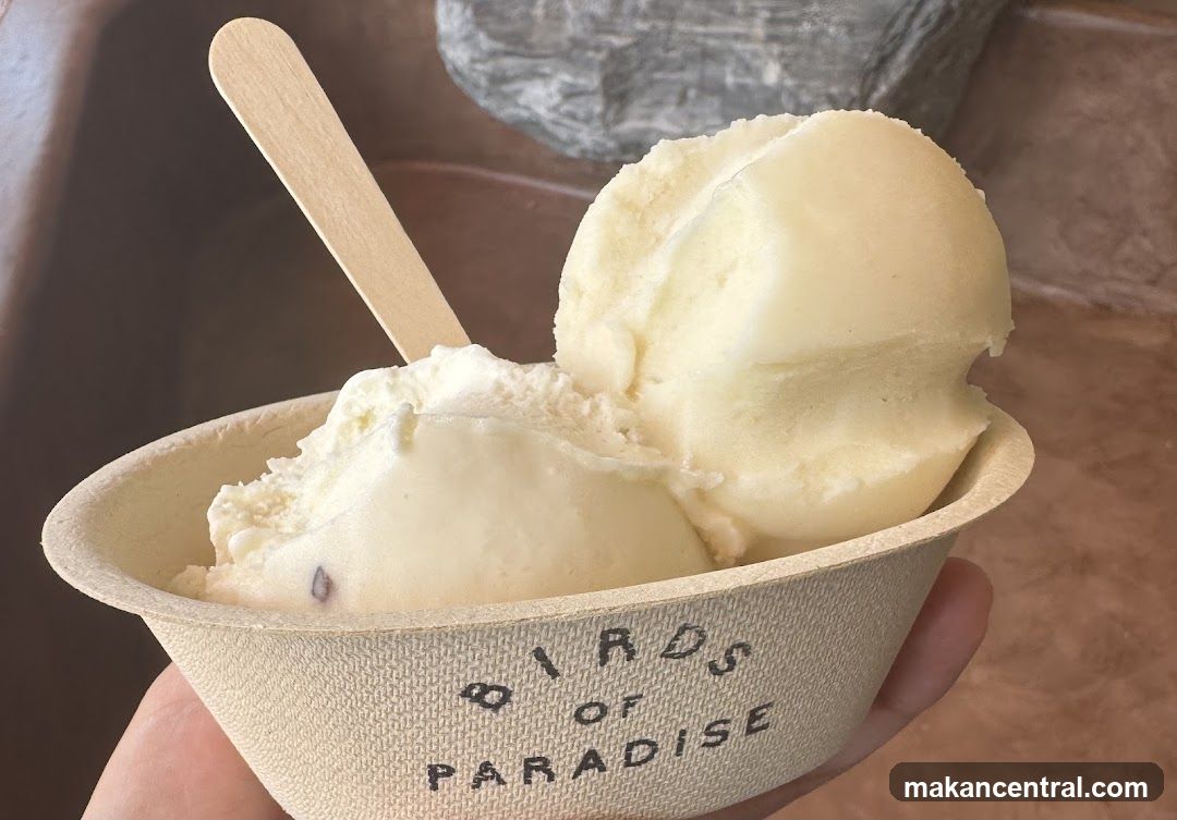 Ice Cream in a Bowl