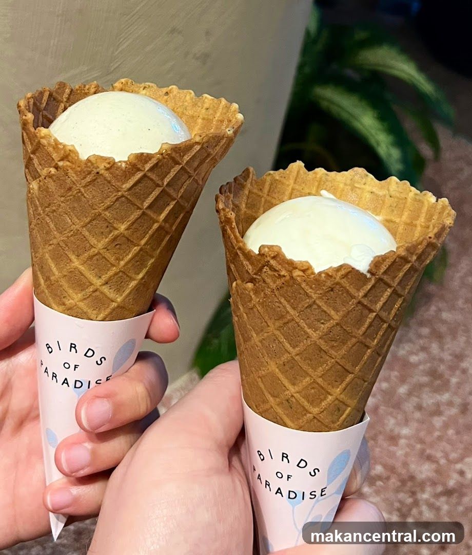 Two Ice Cream Cones