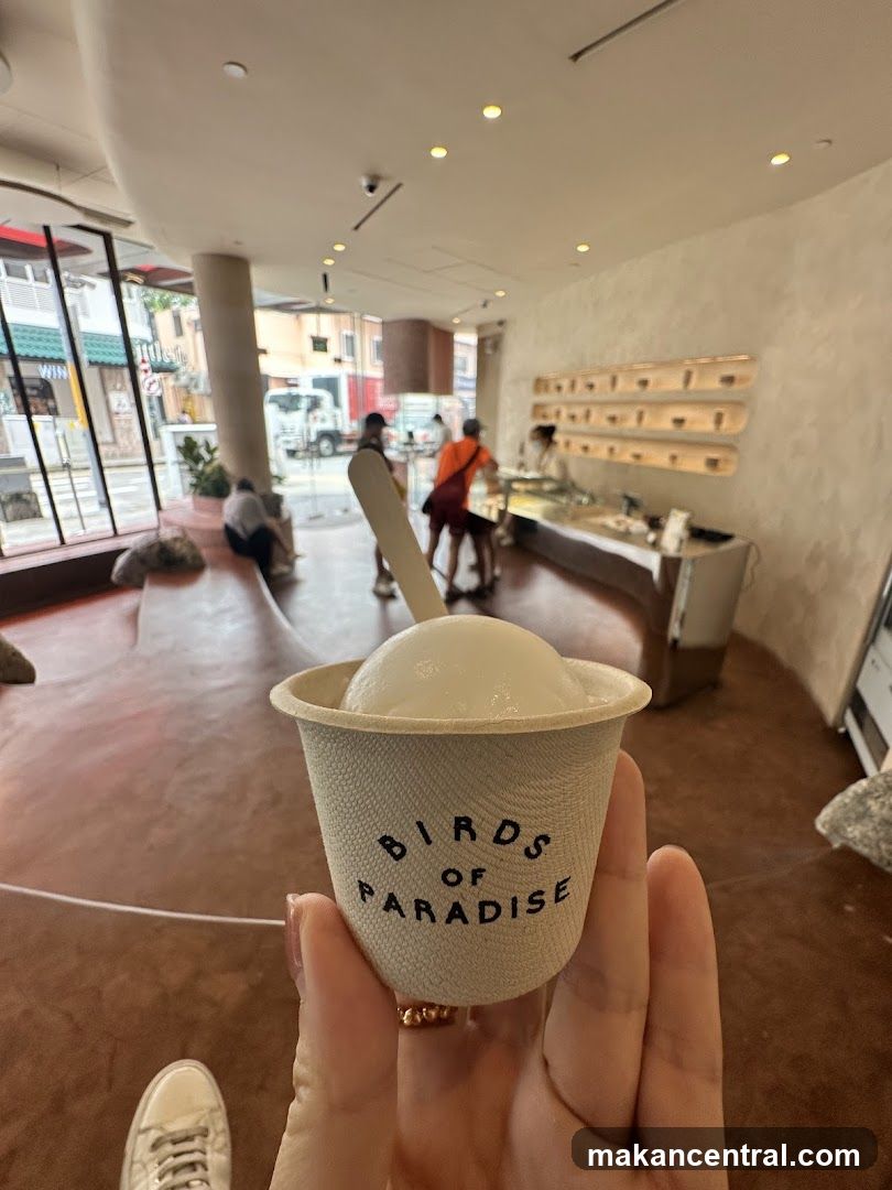 Ice Cream Cup