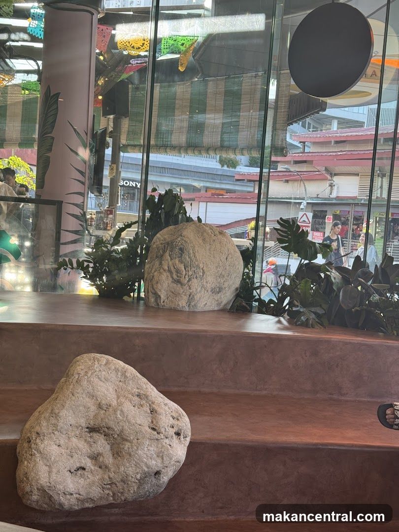 Interior with Decorative Rocks and Plants
