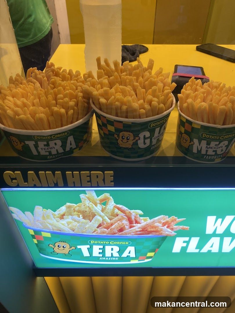 Potato Corner Fries