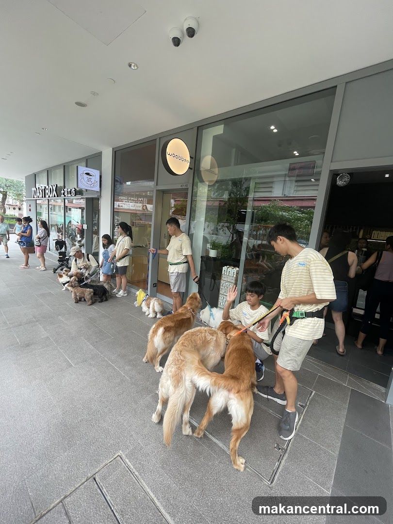 A row of dogs on leashes are waiting outside a shop with a sign that says "woobbee". People are also waiting in line outside the shop. The shop has large glass windows and a modern facade. Another shop with a sign that says "TOAST BOX" is visible to the left.